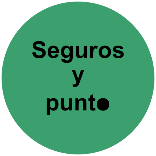 Seguros Y Punto