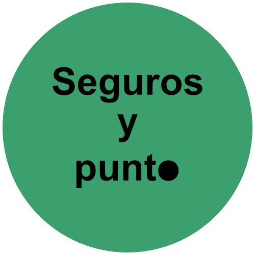 Seguros Y Punto